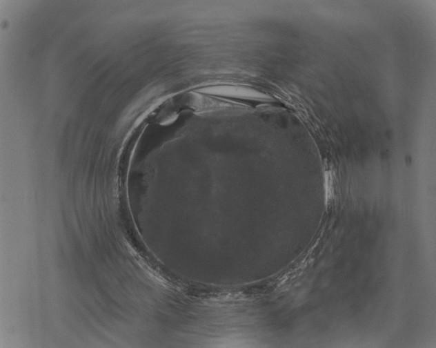 X0000076080243200610061623