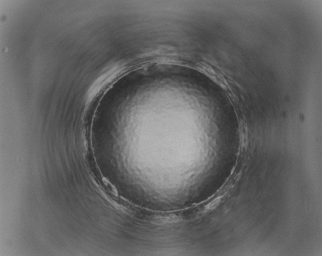 X0000076080245200610061623