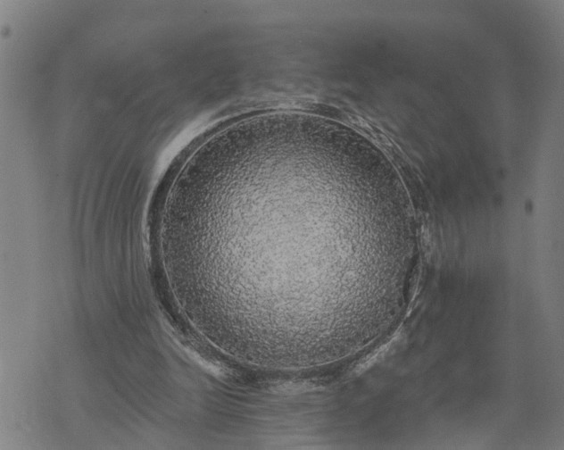 X0000076080246200610061623