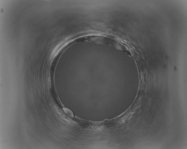 X0000076080247200610061623