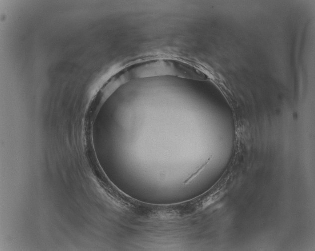 X0000076080248200610061623