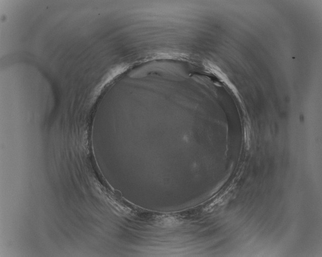 X0000076080249200610061623