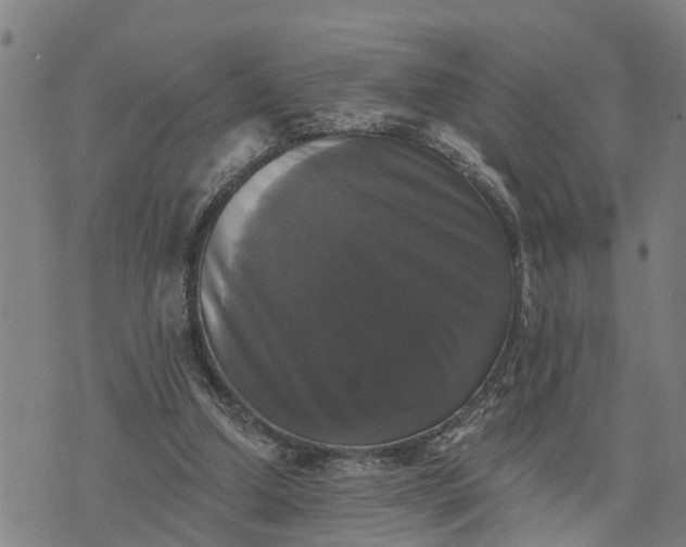 X0000076080250200610061623