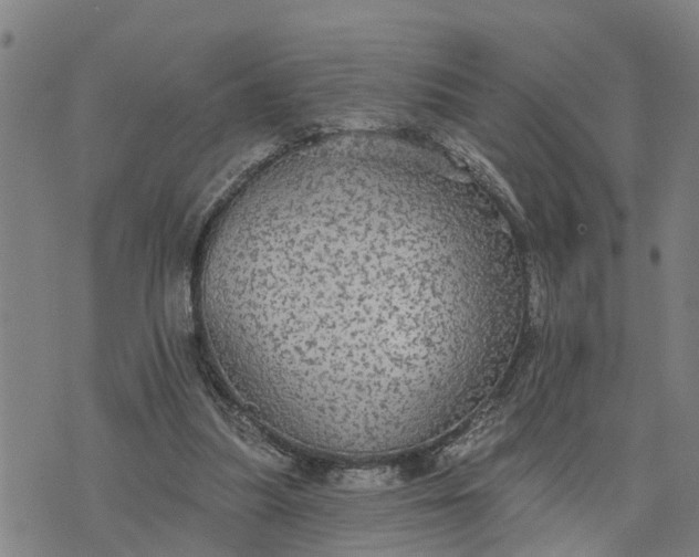 X0000076080251200610061623