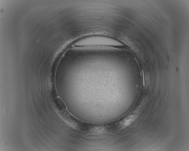 X0000076080252200610061623