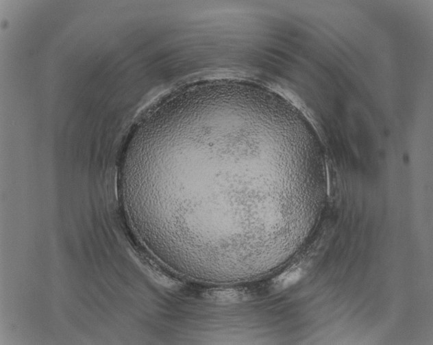 X0000076080253200610061623