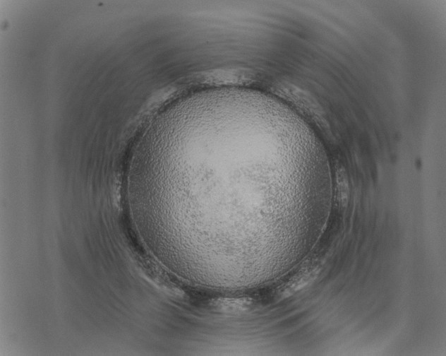 X0000076080255200610061623