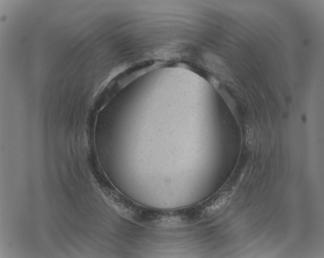 X0000076080256200610061623