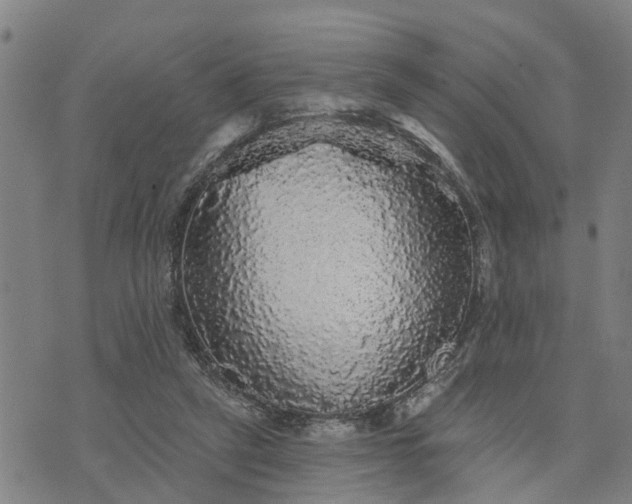 X0000076080257200610061623