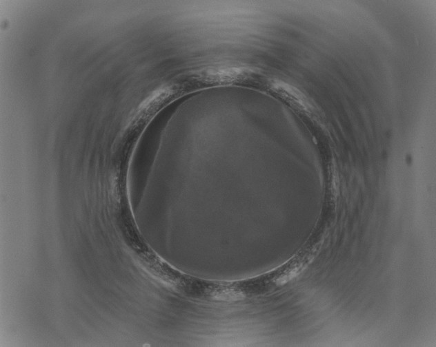 X0000076080258200610061623