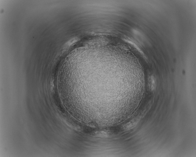 X0000076080259200610061623