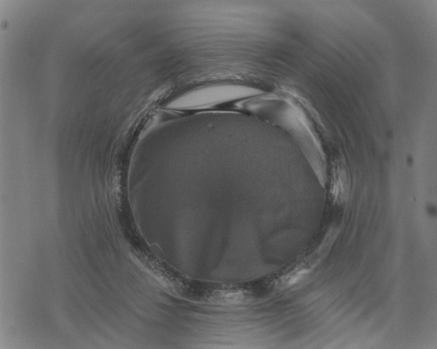 X0000076080260200610061623