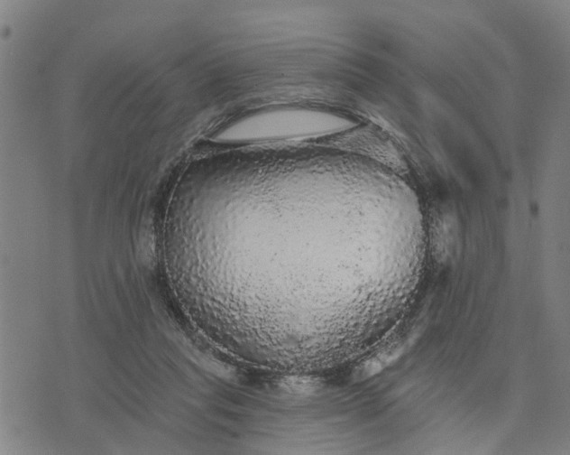 X0000076080261200610061623