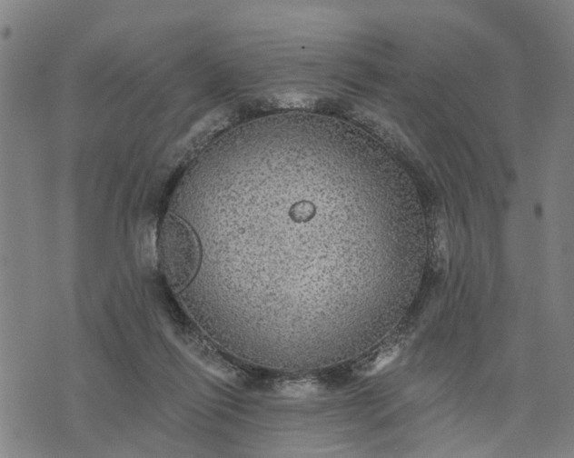 X0000076080262200610061623