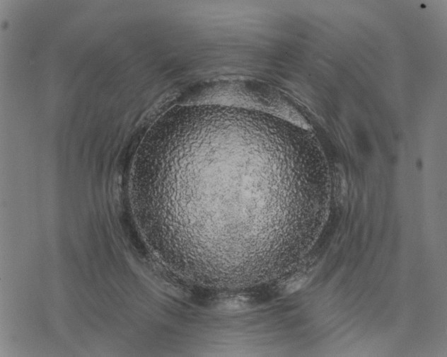 X0000076080263200610061623