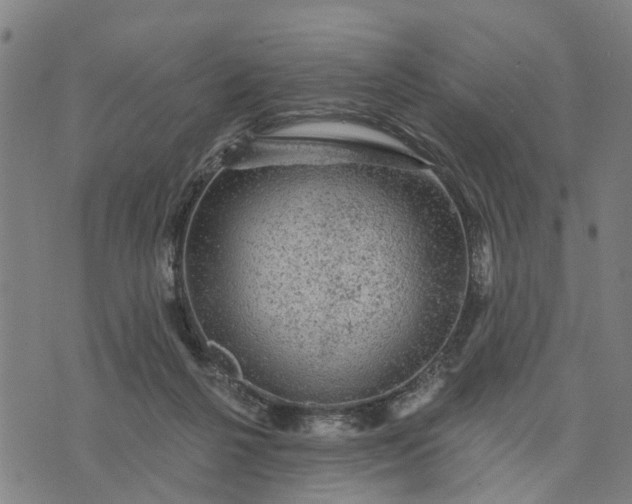 X0000076080264200610061623