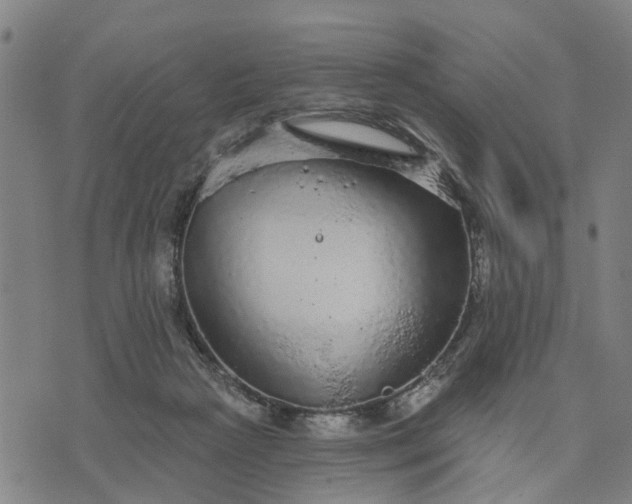 X0000076080265200610061623