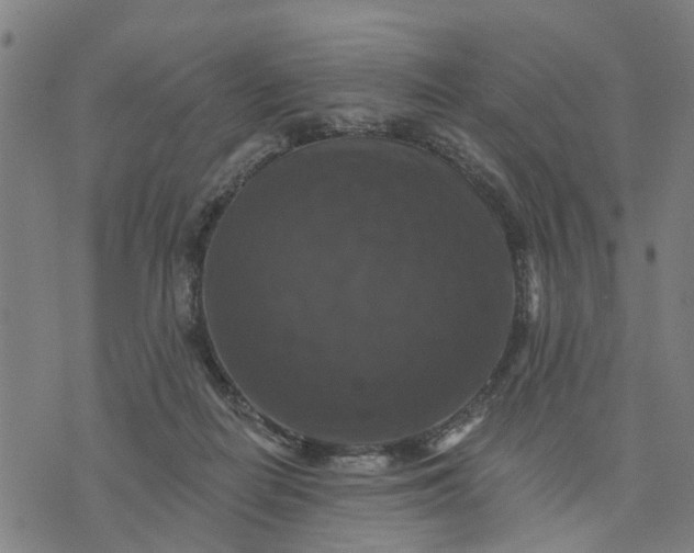 X0000076080266200610061623