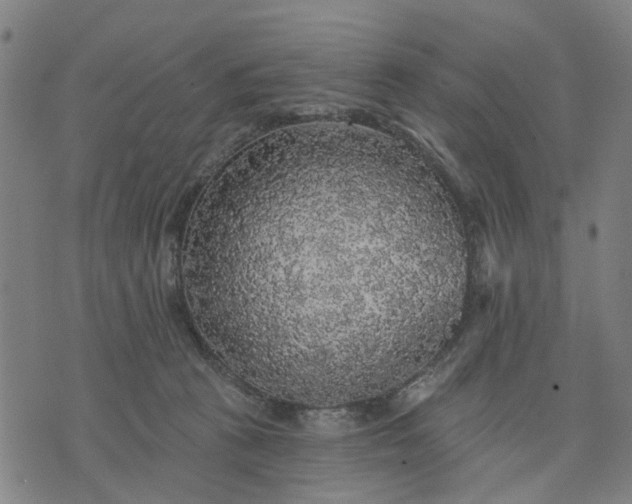 X0000076080273200610061623