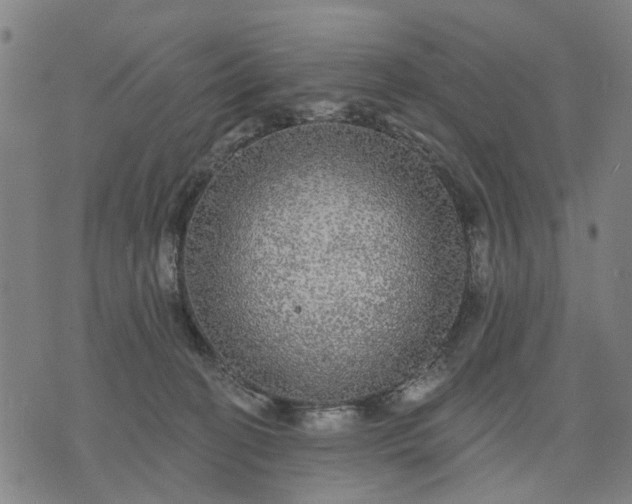 X0000076080274200610061623