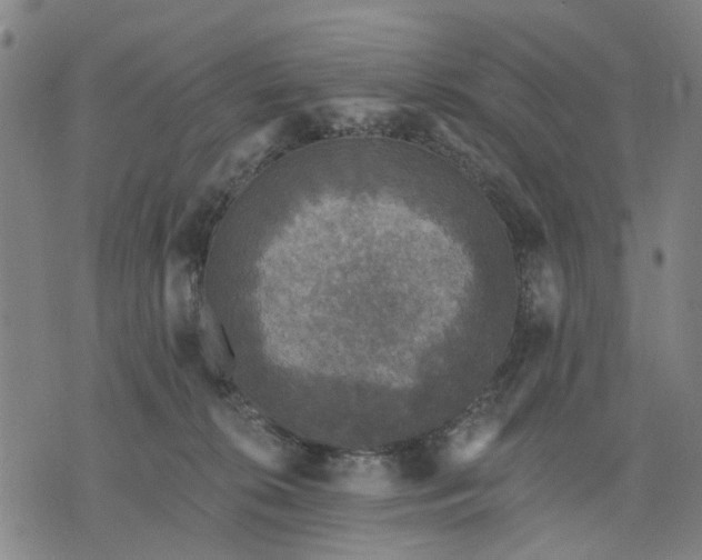 X0000076080276200610061623