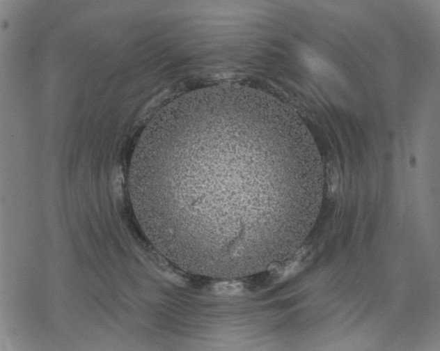 X0000076080279200610061623