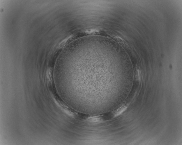 X0000076080280200610061623