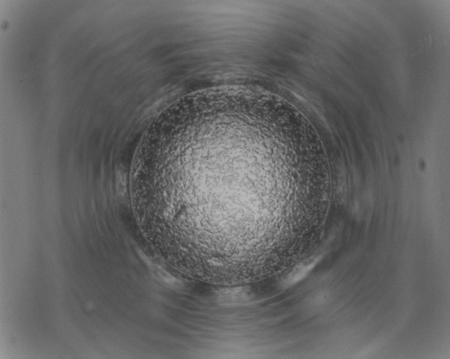 X0000076080281200610061623