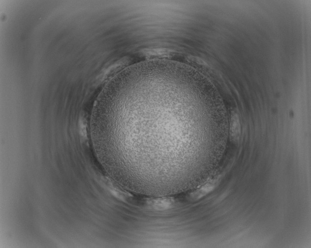 X0000076080282200610061624