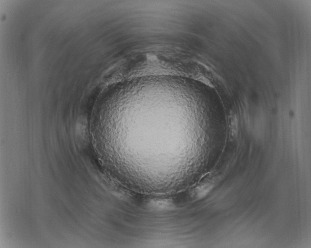 X0000076080283200610061624