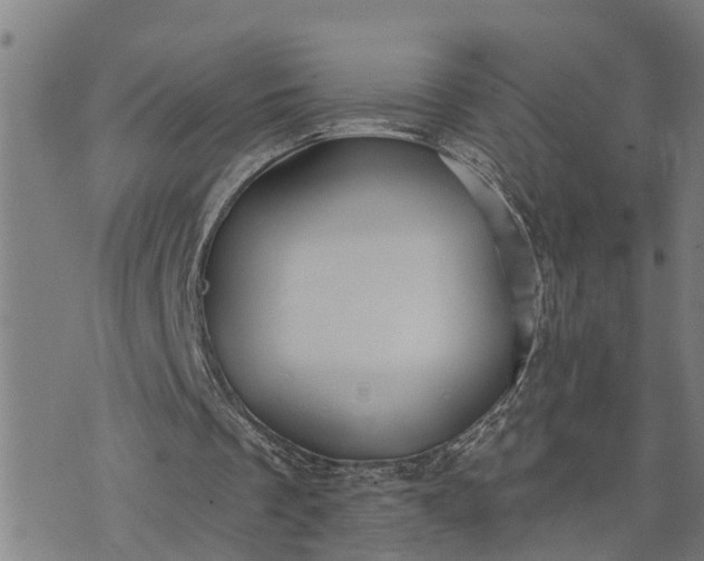 X0000076080289200610061623