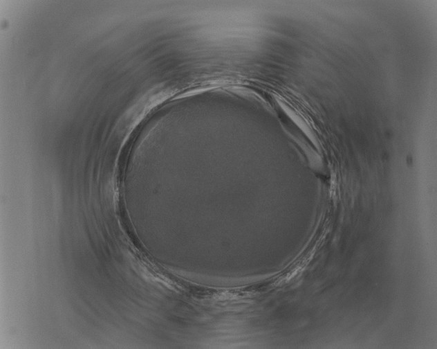 X0000076080290200610061623