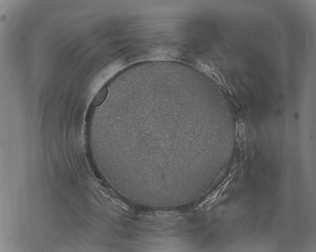 X0000076080292200610061623