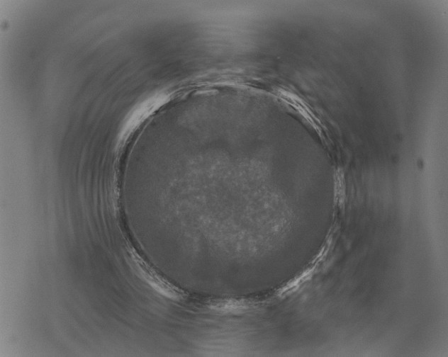 X0000076080293200610061623