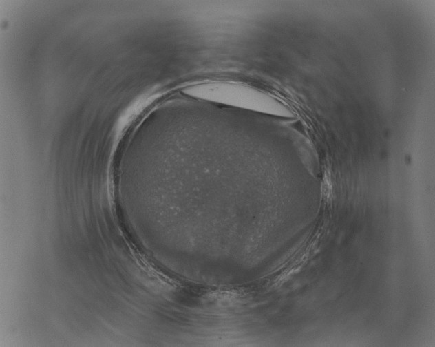 X0000076080294200610061623