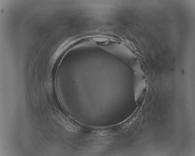 X0000076080295200610061623