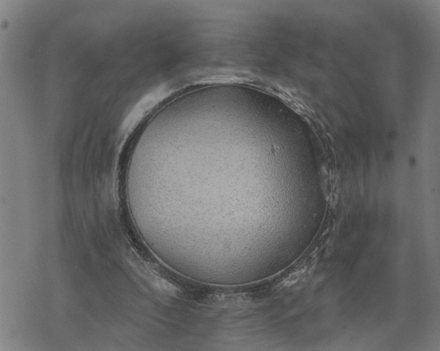 X0000076080296200610061623