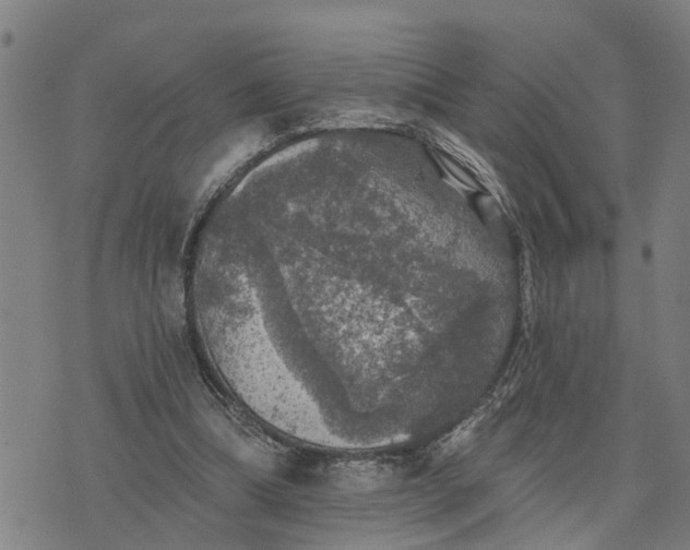 X0000076080298200610061623