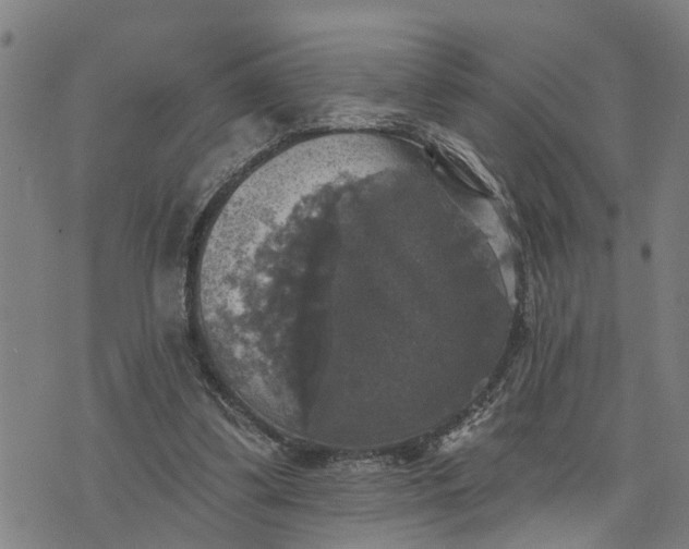 X0000076080299200610061623