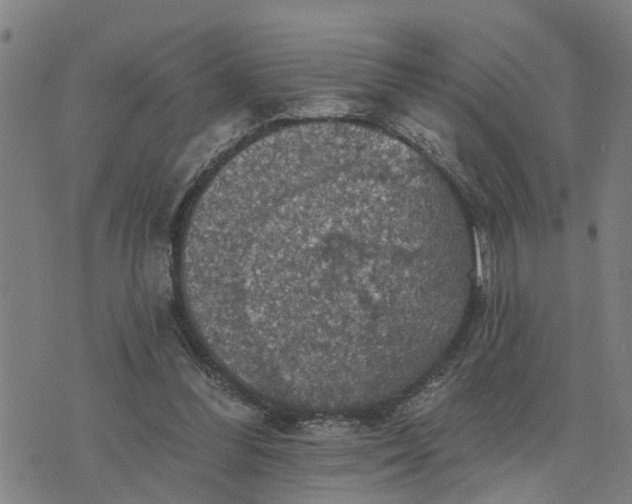 X0000076080300200610061623