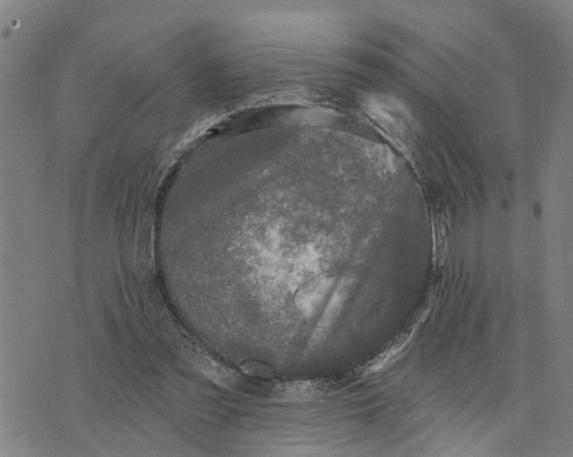 X0000076080301200610061623