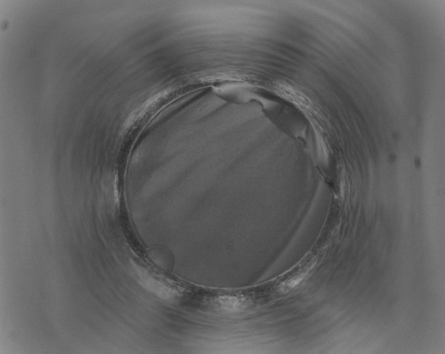 X0000076080302200610061623