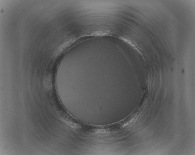 X0000076080303200610061623