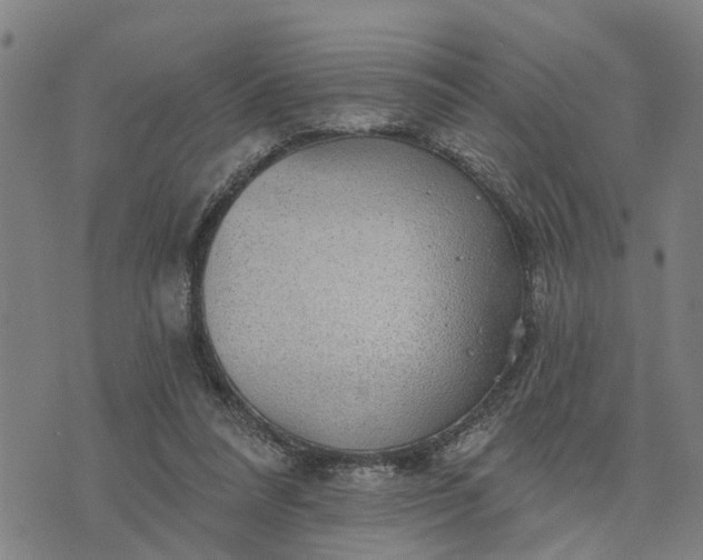 X0000076080304200610061623