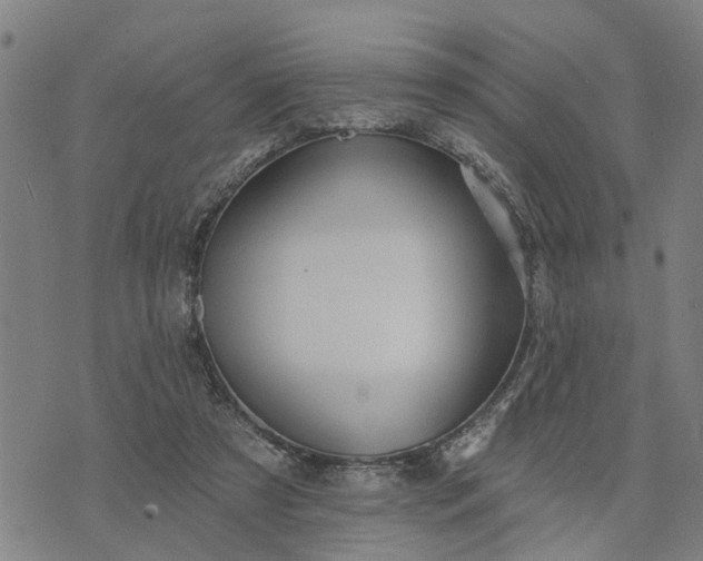 X0000076080305200610061623