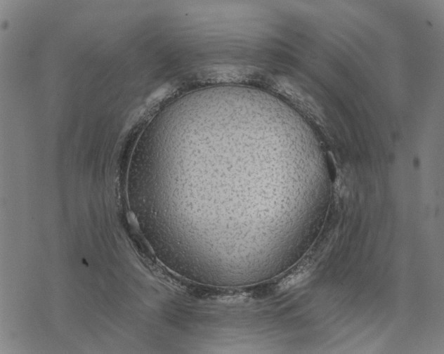 X0000076080306200610061623