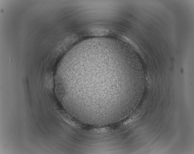 X0000076080307200610061623