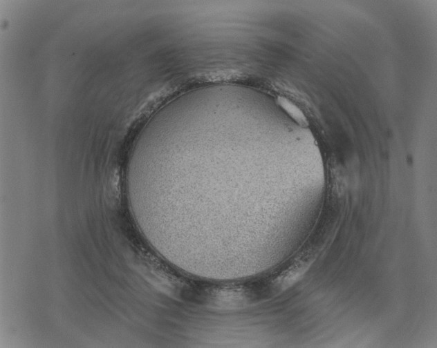 X0000076080308200610061623