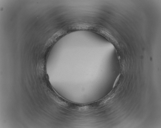 X0000076080309200610061622