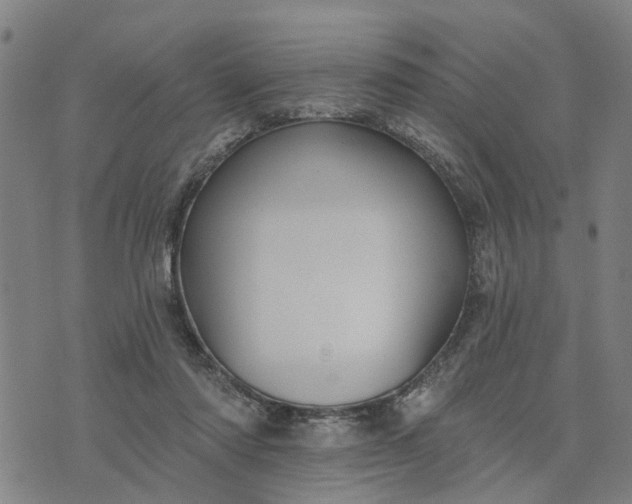 X0000076080310200610061622